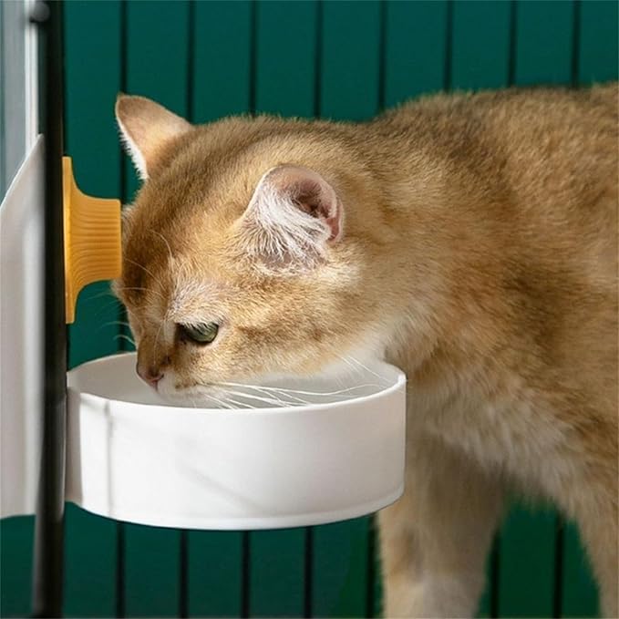 500ml Automatic Pet Water Dispenser, Water Feeder Dispenser Gravity Feeder for Puppy, Dog, Cat, Small Animals