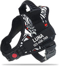 Personalized No Pull Dog Harness with Custom Name and Phone Number by PawPawify, Heavy Duty Pet Vest to Prevent Tugging, Pulling, or Choking, Training and Walking White Doodle