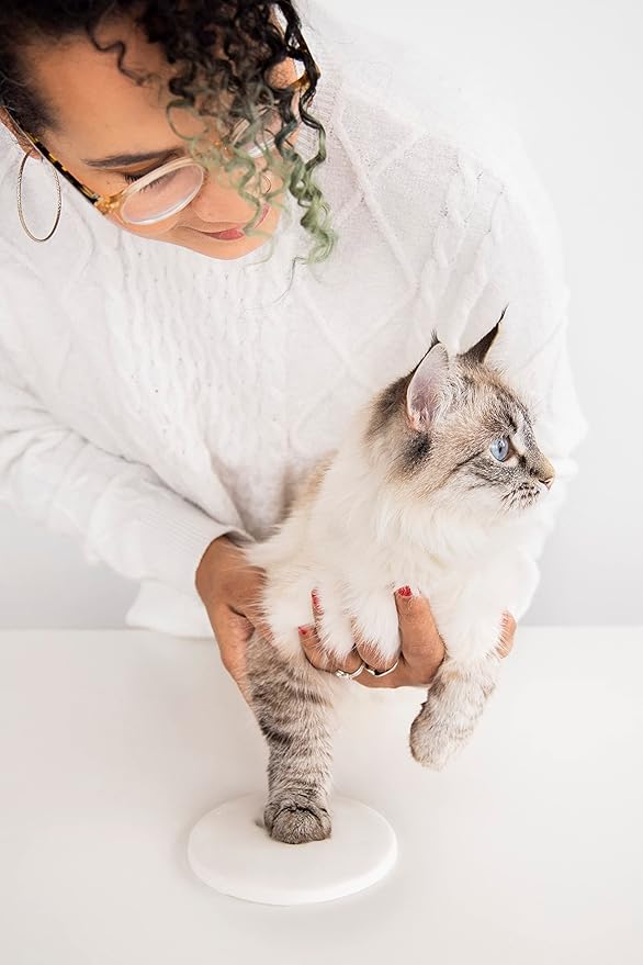 Pearhead Pawprints 2-Pack Christmas Ornament, DIY No Mess Pet Paw Print Holiday Clay Keepsake Kit, Dog or Cat Stocking Stuffer Gift