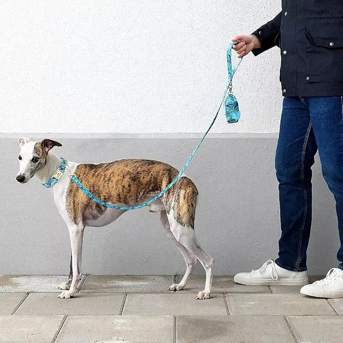 Flower Dog Collar Leash Set Custom Small Medium Large Dog Pet Collars Floral Print Nylon Dog Collars with Treat Bag Snack Bag Blue Collar Leash M