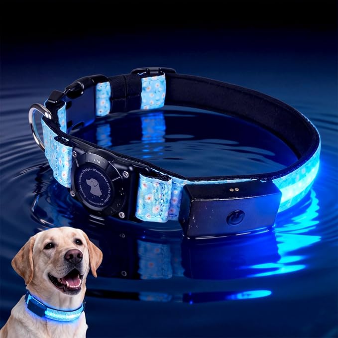 LED AirTag Dog Collar - Brightest Light Up Dog Collars - IP68 Waterproof Air Tag Dog Collar Holder - 1,600 Feet of High Visibility - Magnetic Charging - Dog Lights for Night Walking (Daisy, XL)