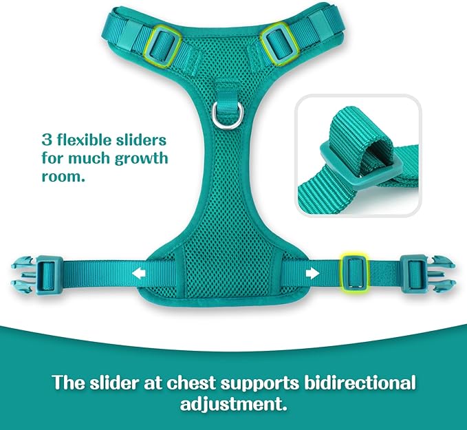 No Pull Dog Harness for Small Medium Large Dogs - Adjustable 2 Layer Mesh Dog Vest with Dual Clip, Escape Proof, Quick Release, Lightweight Breathable Mesh for Walking Hiking (MARRS Green,L)