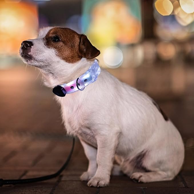 Light Up LED Dog Collar - Rechargeable Pet Necklace Accessory, Adjustable Luminous Collar,PVC Rubber Coated LED Dog Collarr Specification | Lighted Outdoor Protectionfor Small,Medium and Large Breeds