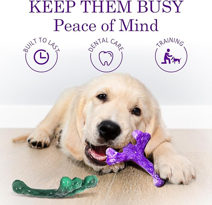 Dog Chew Toys for Aggressive Chewers: Dog Chew Toys 4 Pack Beef Flavored Indestructible Toy for 20-70 lbs Medium and Large Dogs, Tough Nylon Chew Bone & Easy to Clean, Keeps Dogs Busy