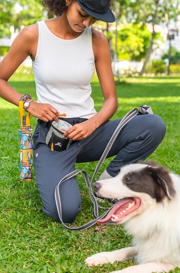 OllyDog Goodie Treat Bag, Dog Treat Pouch, Waist Belt Clip for Hands-Free Training, Magnetic Closure, Dog Training and Behavior Aids, Three Ways to Wear (Abbey Stone)
