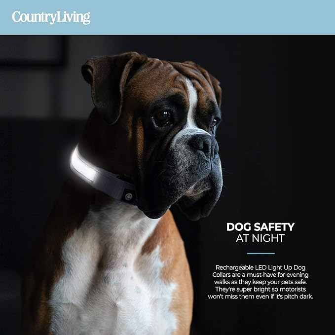 Silver Paw Light Up Dog Collars, LED USB Rechargeable Dog Collar, Waterproof & Durable (Grey,S)