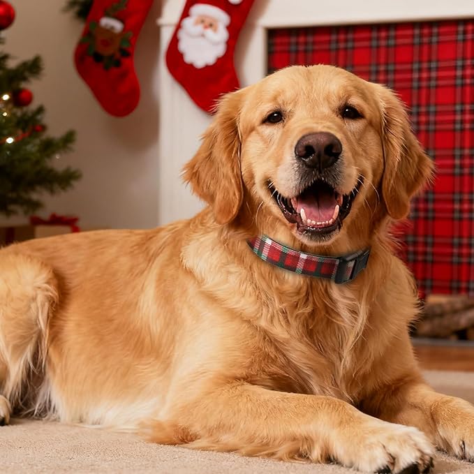 Christmas Dog Collar, Adorable Plaid Pattern Christmas Collar for Medium to Large Dogs - Comfortable & Cute Xmas Dog Collars, L