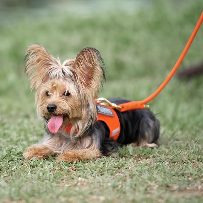 Durable Handwoven Dog Leash for Small & Medium Dogs, 5/16 inch Rope Lead with Anti-Tangle Swivel Clip, Soft & Lightweight, 5FT Long – Ideal for Daily Walking & Training (Orange)