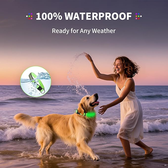 PetIsay Dog Light up Collar for Night Walking - High Visibility LED Dog Collar - Rechargeable - Waterproof - Reflective - Adjustable Lighted Glow Collars(Green, XLarge)