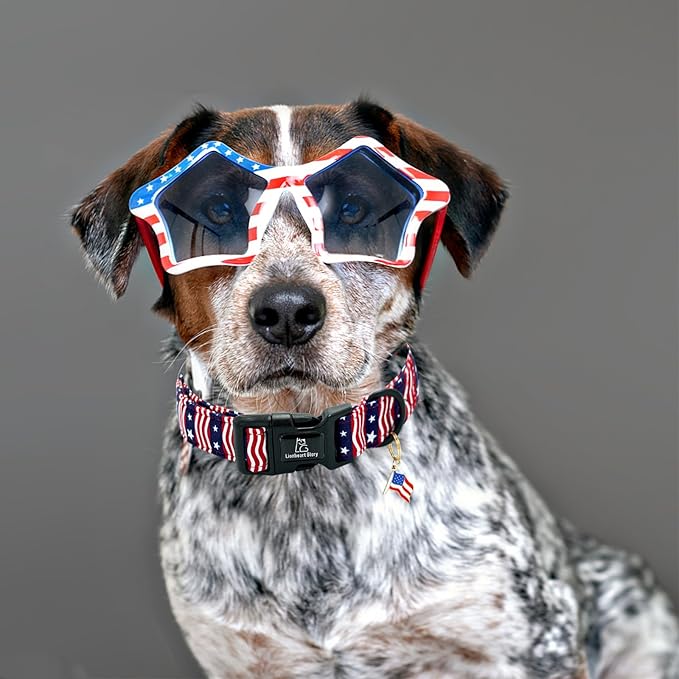 Lionheart glory American Flag Dog Collar-4 of July Patriotic Independence Day Dog Collar Heavy Duty Adjustable Dog Collars for Medium Dogs Pet Gift Summer Collars