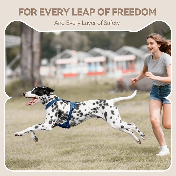 No Pull Dog Harness with Lycra, Three-Point Force Dispersion & 3D Padding, Adjustable Breathable Mesh for Small Medium Large Dogs(Prussian Blue,XL)