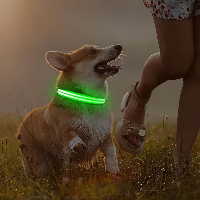 Illumifun Light Up Dog Collar, Rechargeable LED Dog Collar Glow in The Dark, High Visibility Collars Light for Pet Walking at Night (Green, Large)