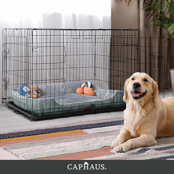 CAPHAUS Foldable Dog Crate Wire Metal Dog Kennel w/Leak-Proof Pan & Protecting Feet & Divider Panel, Single or Double Door, Small, Medium & Large Indoor Wire Cage, 24” w/Single Door