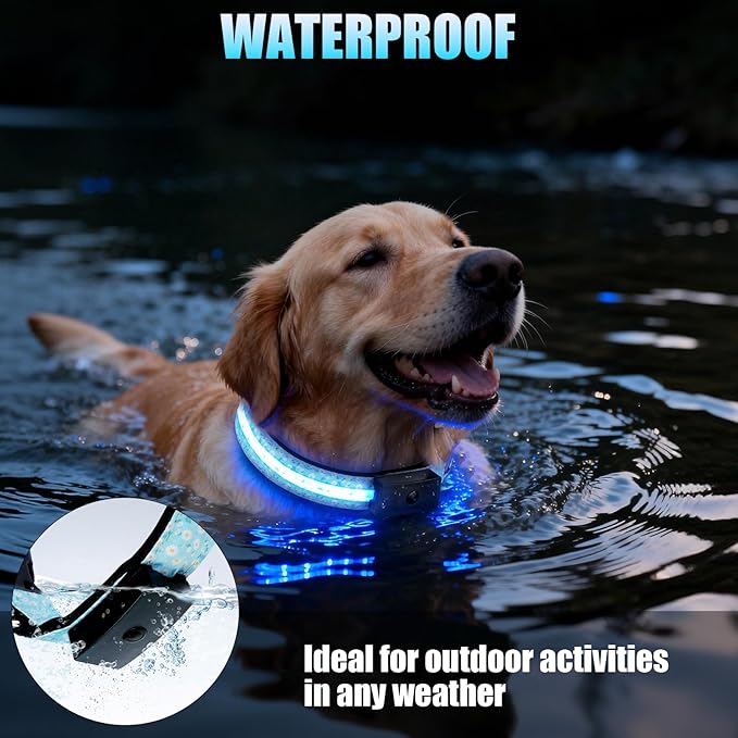 LED Dog Collar - Brightest Light Up Dog Collars - 1,600 Feet of High Visibility - Magnetic Charging - Dog Lights for Night Walking, Daisy Medium