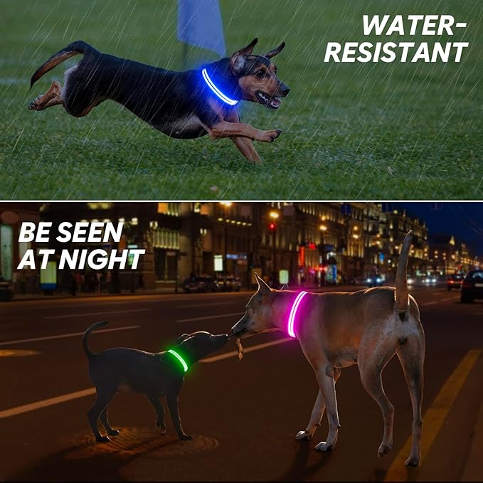 BSEEN Light Up Dog Collar, Glowing LED Dog Collar Rechargeable Lighted Pet Necklace Safety Dog Lights for Night Walking (Pink, Large)