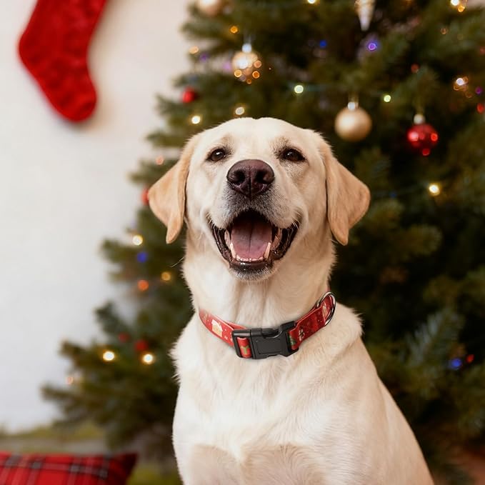 Christmas Dog Collar, Adorable X-mas Pattern Christmas Collar for Medium to Large Dogs - Comfortable & Cute Xmas Dog Collars, M