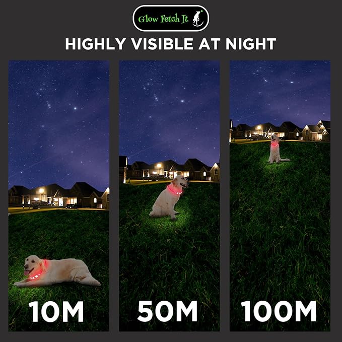 LED Dog Collar, Waterproof Light Up Dog Collar Rechargeable, Dog Safety Necklace for Night Walking, Adjustable Cut-to-Fit Silicone Collar Small Medium Large Dog 27.5” Cuttable (Red)