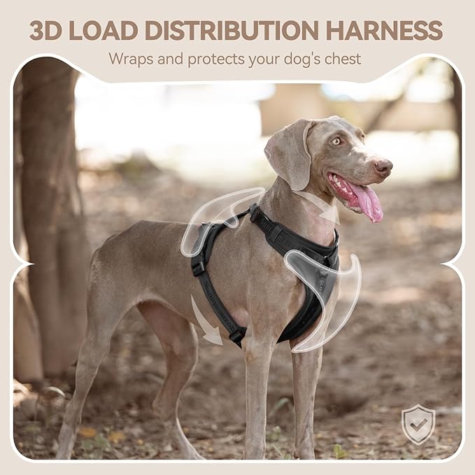 No Pull Dog Harness with Lycra, Three-Point Force Dispersion & 3D Padding, Adjustable Breathable Mesh for Small Medium Large Dogs(Black,M)