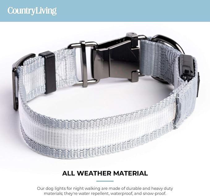 Silver Paw Light Up Dog Collars, LED USB Rechargeable Dog Collar, Waterproof & Durable (Grey,S)