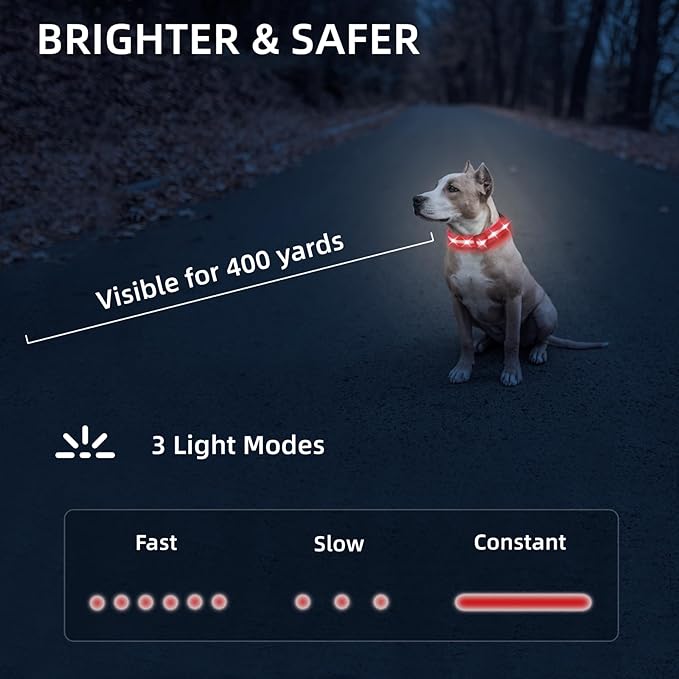 LED Dog Collar for Small Dogs Cats - Fully Waterproof & Adjustable Glow Collar - USB-C Rechargeable for Night Walking, Safety - Flashing Lighted Collar for Dogs(Red,XS)