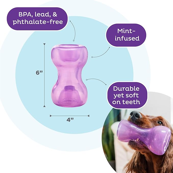 Outward Hound Double Snoop Interactive Treat Dispensing Dog Toy, Puzzle Ball Slow Feeder for Medium to Large Dogs, Mint-Scented for Mental Stimulation & Boredom Relief, 6-inch