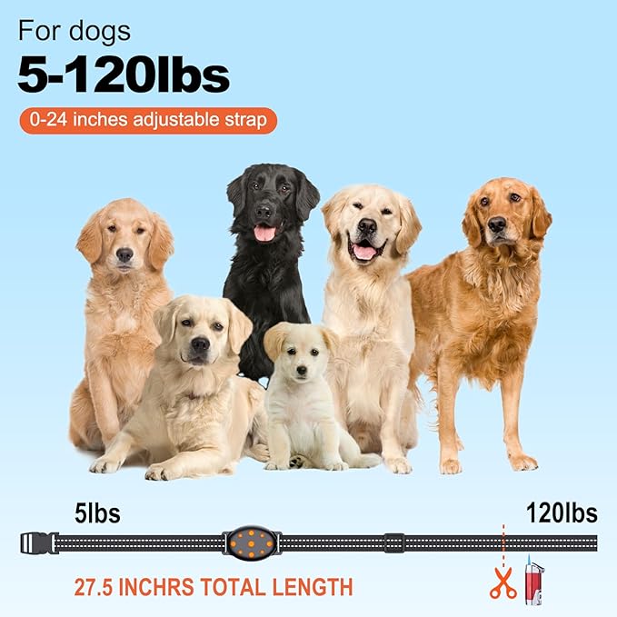 Shock Collar, Rechargeable Electric Dog Training Collar, 1000Ft Remote Range Dog Training Collar with Beep Vibration and Shock, for Small Medium Large Dogs (Red) (1-2) (1&1Orange)