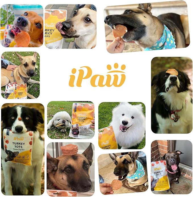 iPaw Turkey Tots Dog Treats for Puppy Training, All Natural Human Grade Dog Treat, US Sourced Raw Material, Hypoallergenic, Easy to Digest (Turkey Tots), 5 Packs