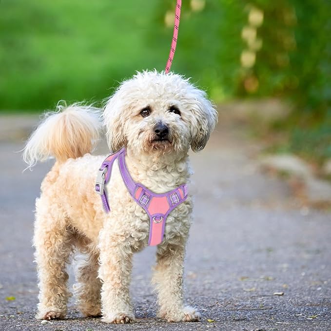 BARKBAY No Pull Dog Harness Large Reflective Dog Harness with Front Clip and Easy Control Handle for Walking Training Running with ID tag Pocket(Baby Pink & Violet Purple,S)