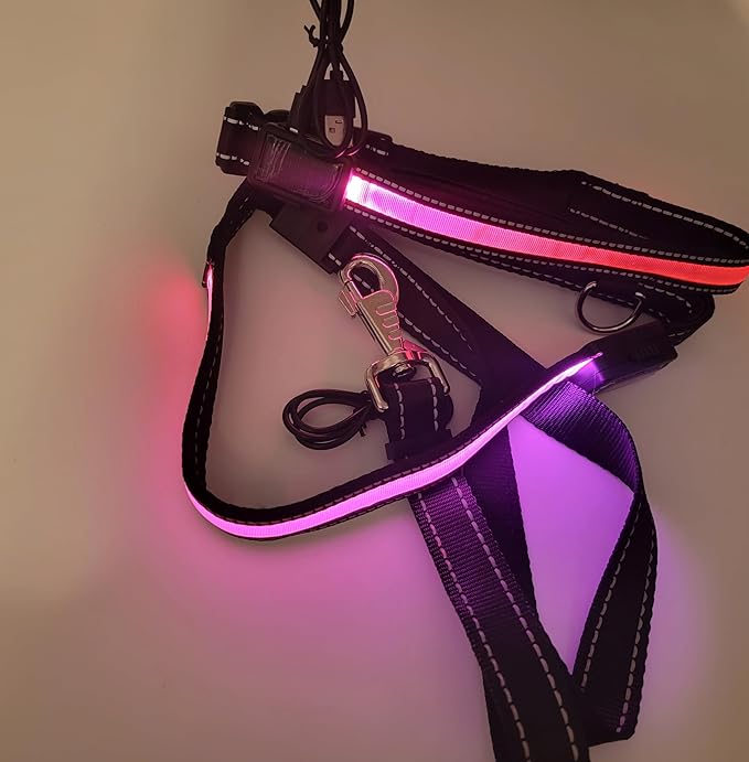 LED Dog Collar and Leash Light USB Rechargeable Color Changing, Glow in The Dark Dog Collars and Leash Waterproof (Pink, Collar Medium + Leash)