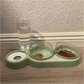 Pet cat Bowl Automatic Dog Food with Fountain Accessories Drinking Water Overhead(Green)