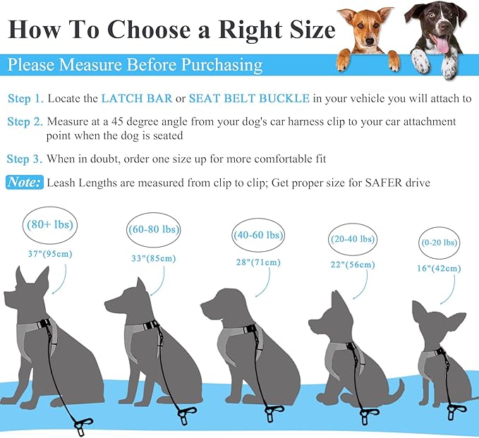 VIVAGLORY Dog Seat Belt Tuffbelt Dog Car Harness, Seatbelt with Clip & Hook for Car Travel, Chew Proof Anti Chew Unchewable Metal Safety Tether Restraint, S, Blue