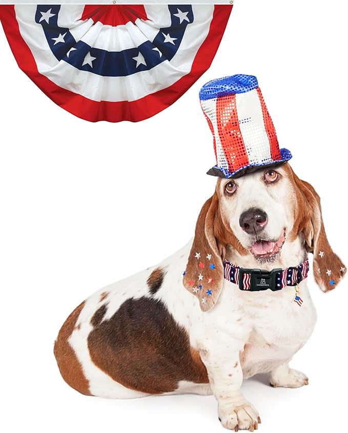 Lionheart glory American Flag Dog Collar-4 of July Patriotic Independence Day Dog Collar Heavy Duty Adjustable Dog Collars for Small Dogs Pet Gift Summer Collars