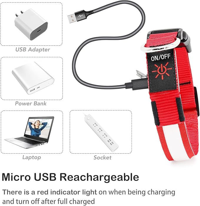 Weesiber USB Rechargeable LED Dog Collar - Waterproof, Adjustable Size with Multiple Flash Modes - Small, Red