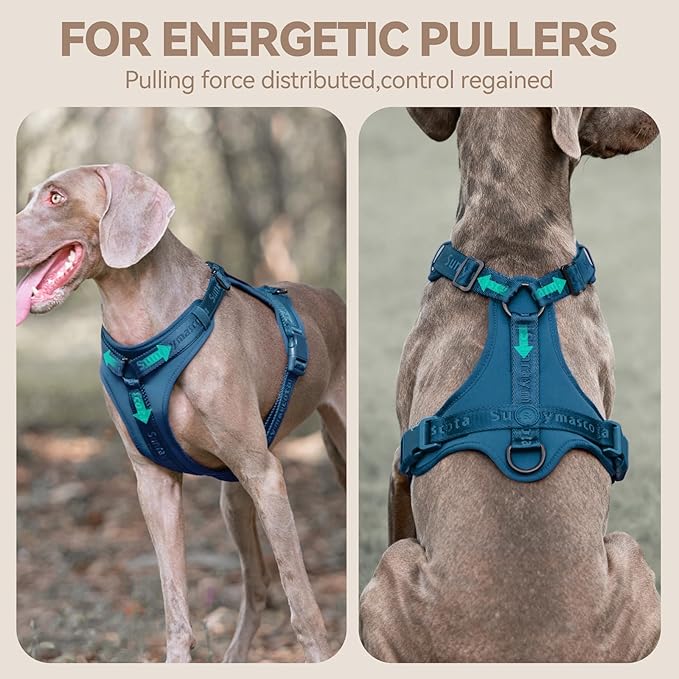 No Pull Dog Harness with Lycra, Three-Point Force Dispersion & 3D Padding, Adjustable Breathable Mesh for Small Medium Large Dogs(Prussian Blue,S)