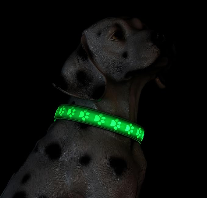Subversive USB-C led Light up Dog Collar, Subversive 3D Cross Design Comfortable and Soft Material,Multicolored Lighting (PAW-Green, S(11.8-15.7"))