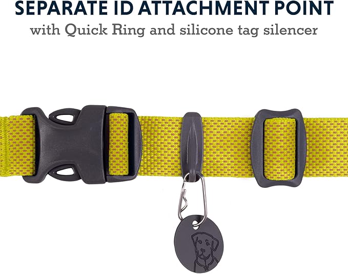 Ruffwear, Hi & Light Dog Collar, Ultralight Quick Release Buckle, Adjustable Trail Running Polyester Collar with Silent ID Attachment, Lichen Green, 11"-14"