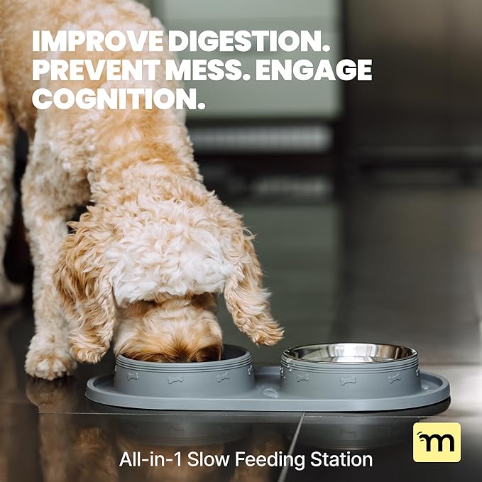 MalsiPree 2-in-1 Slow Feeder & Water Bowl Set 15 oz - Anti-Spill Silicone Mat - Stainless Steel Dish, Stainless Steel Water Bowl - Eases Digestion - Pet Gift for Cat, Puppy, Small & Medium Dog Slow
