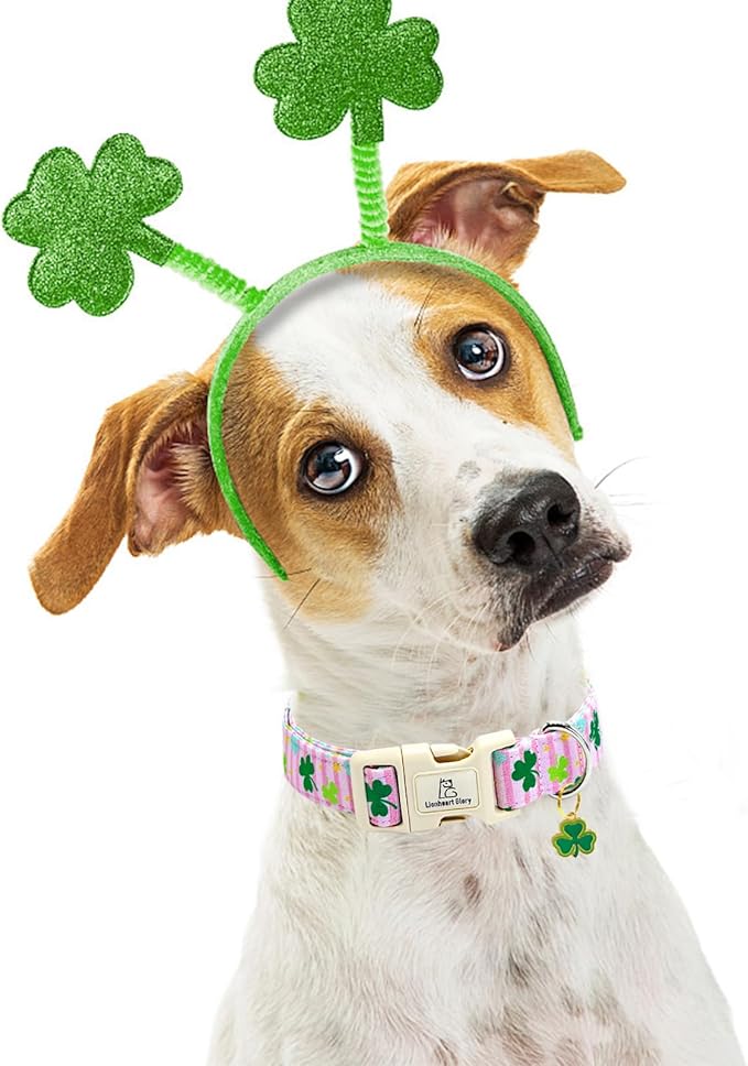 Lionheart glory St. Patrick's Dog Collar-Lucky Clover Shamrock Pink Spring Trefoil Dog Collar for Medium Dogs Adjustable Heavy-Duty Pet Female Dogs Collars