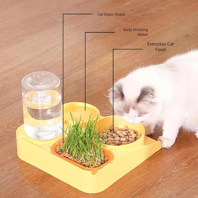 YiZYiF Automatic Pet Water Dispenser and Food Bowl Set Double Slow Feeder Bowls for Dogs Puppies and Cats Yellow One Size