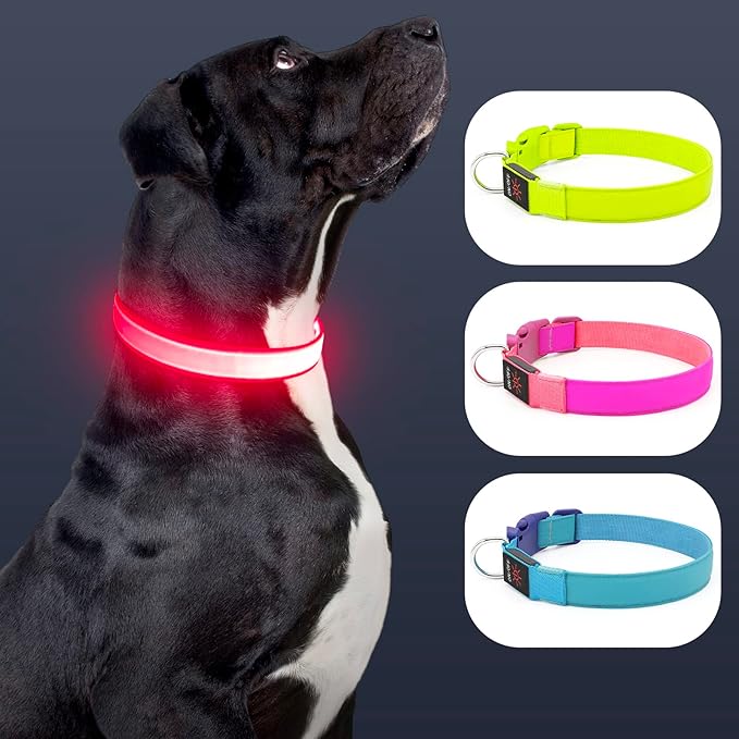 LED Dog Collar Light Up Dog Collars Red Light USB Rechargeable, Adjustable Size Heavy Duty TPU Nylon Webbing Glow Safety Basic Dog Collars for Large Medium Dogs (L, Candy Pink)