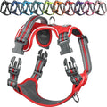 VIVAGLORY Dog Harness Easewalk No Pull Dog Harness with Handle Front Clip & Back Clip for Training Walking Lifting, No Pull Adjustable Easy On Padded Comfortable for Pet, XL, Red - Patterned