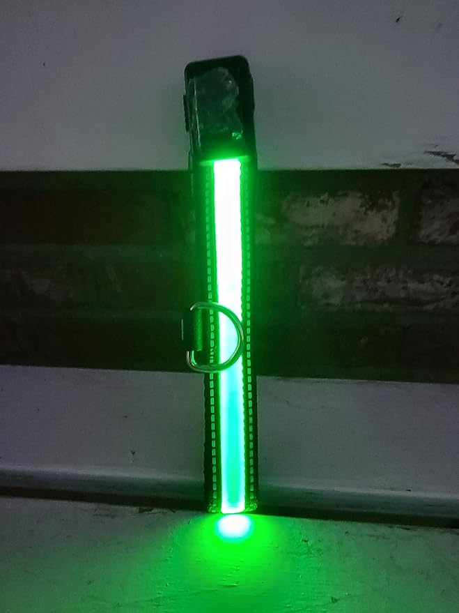 LED Dog Collar Light Rechargeable Color Changing, Glow in The Dark Dog Collars Waterproof Glowing Dog Collars for Large Small Medium Dogs (Large, Green)