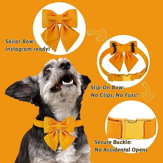 Maca Bates Mango Yellow Dog Collar with Cute Solid Sailor Bow Tie for Extra Small Girl Boy Dogs,Adjustbale Durable Breakaway Soft Collars with Bowtie for Female Male Puppy,Pet with Metal Buckle
