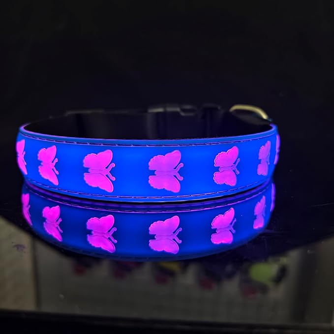 USB-C led Light up Dog Collar, 3D Design Comfortable and Soft Material,Multicolored Lighting，Night Dog Collar (BT-Blue, M(15.7-19.7"))