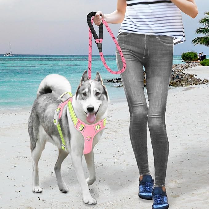 BARKBAY No Pull Dog Harness Large Reflective Dog Harness with Front Clip and Easy Control Handle for Walking Training Running with ID tag Pocket(Baby Pink & Sunlight,L)