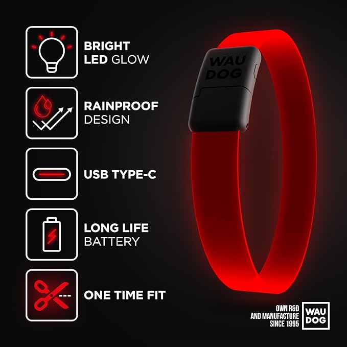 Light Up Dog Collar One-Time Fit Waterproof LED Collar for Safety Night Walking USB Rechargeable Glow in The Dark Suitable for Small Medium Large Dogs