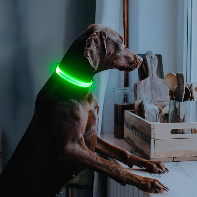 Illumifun LED Dog Collar, Light Up Dog Collar Rechargeable Glow in Dark Pet Collar Safety Dog Lights for Night Walking Camping (Green, Large)
