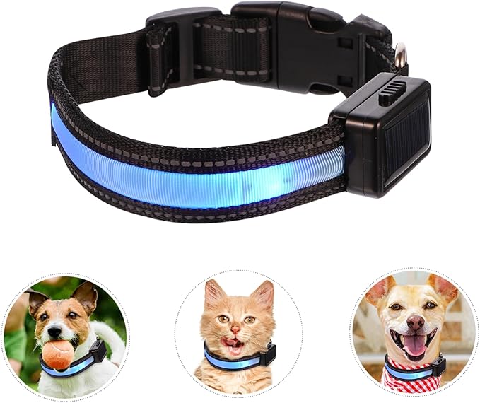 USB Rechargeable Led Light up Dog Collar Solar Powered Glow Collar for Dogs and Puppies Comfortable Material Easy Release Buckle Blue s