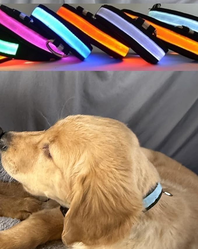LED Light Up Dog Collar, Rechargeable, Waterproof, Glow in Dark,150 Hours Battery Life, D-Ring for Leash, S, M, L, XL, Red, Pink, Blue, Green, Orange, Multi Color (Green, Medium 16in-19.2in)