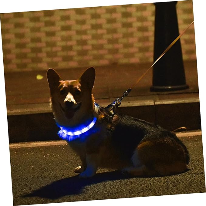 VICASKY 1set USB Rechargeable Night Glowing Led Dog Collar Cuttable Pet Collar for Safety Comfortable Wear for Outdoor Use
